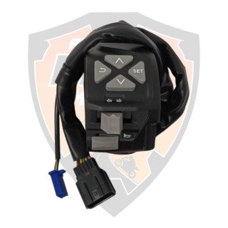 Switch Control LH Adventure 250 Adventure 390