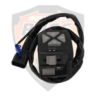 Switch Control LH Adventure 250 Adventure 390