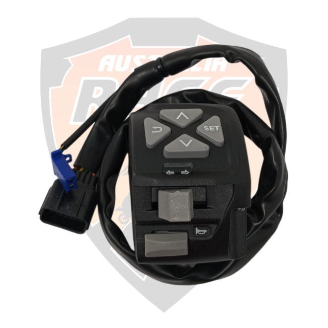 Switch Control LH Adventure 250 Adventure 390