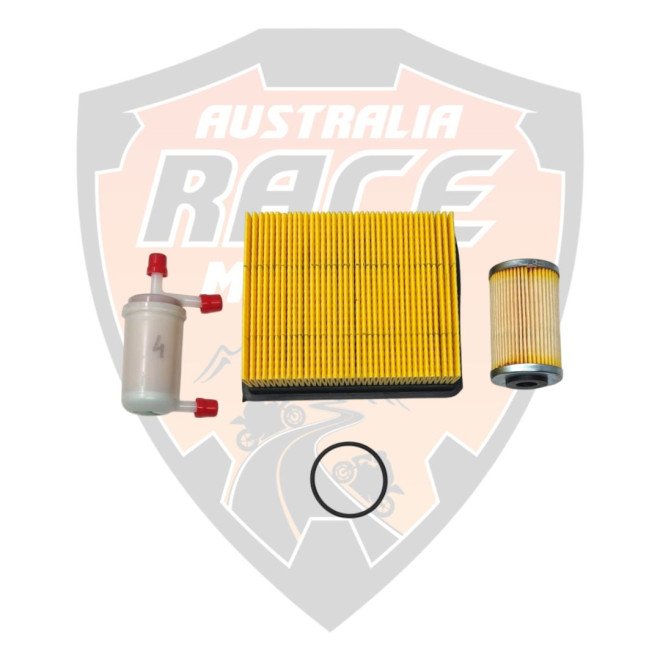 Periodic Service Kit Duke 200