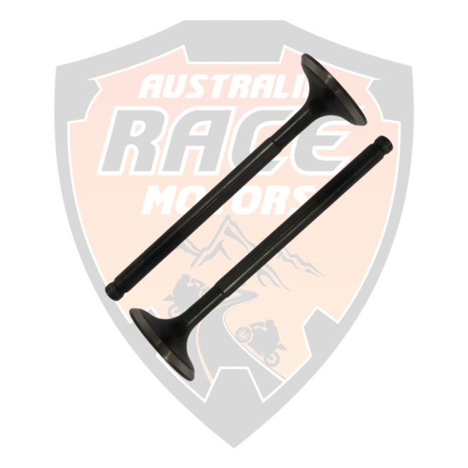 Valve Exhaust Duke 200 RC 200