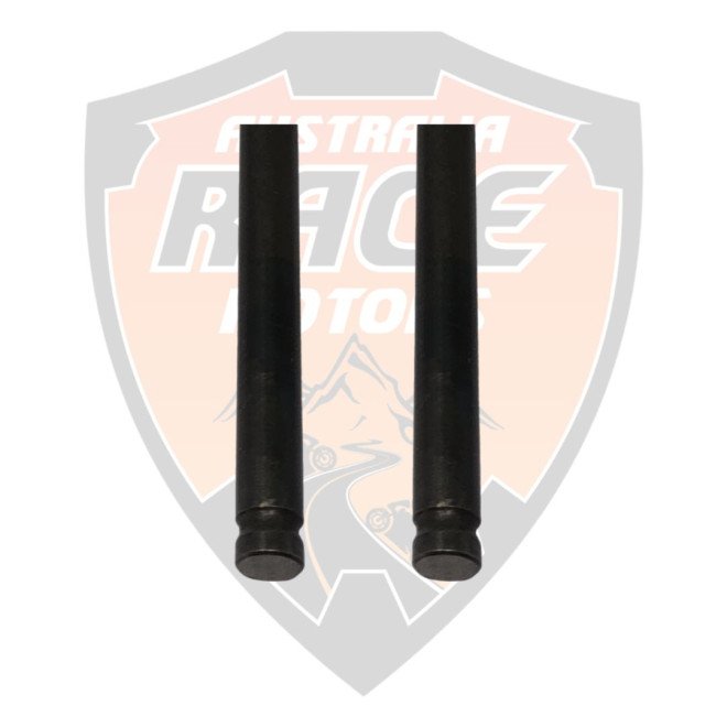Valve Exhaust Duke 200 RC 200