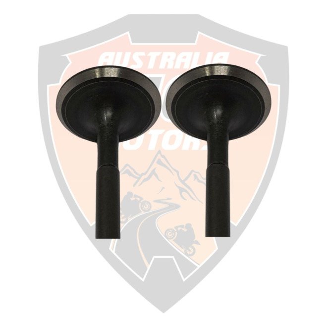 Valve Exhaust Duke 200 RC 200