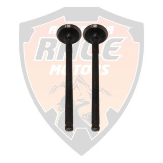 Valve Exhaust