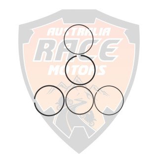 Piston Rings Kit Duke 200 y RC 200