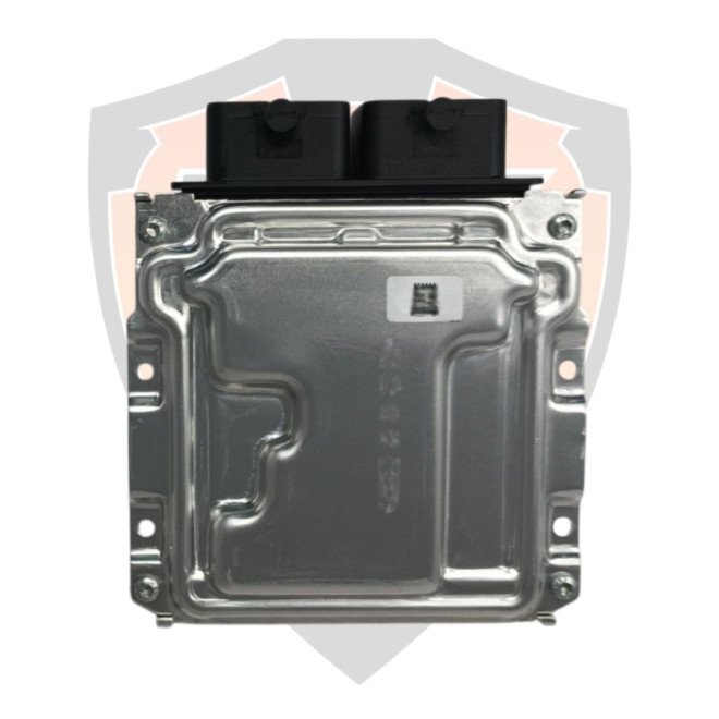 Engine Control Unit Duke & RC