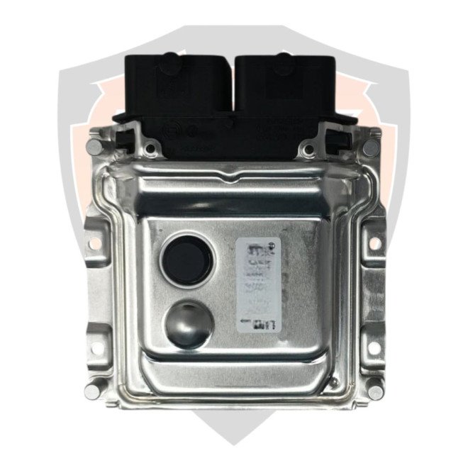 Engine Control Unit Duke & RC