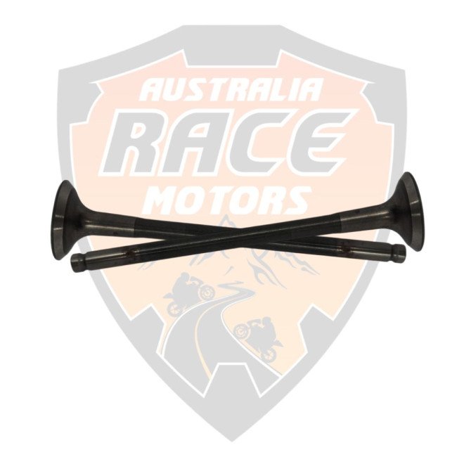 Valve Exhaust 2 pieces Duke 125 RC 125