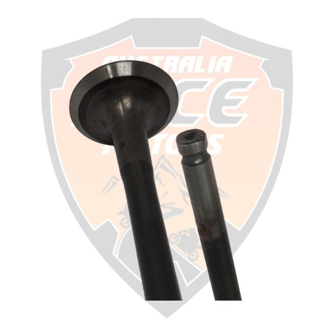 Valve Exhaust 2 pieces Duke 125 RC 125