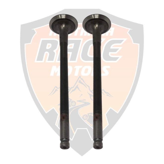 Valve Exhaust 2 pieces Duke 125 RC 125