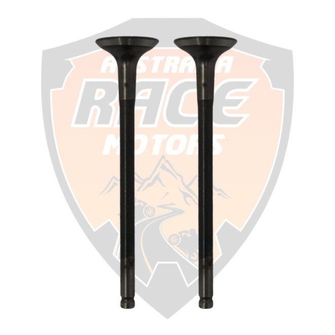 Valve Exhaust 2 pieces Duke 125 RC 125