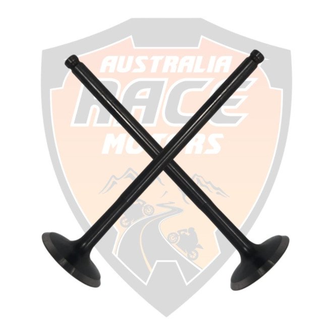 Intake Valve Duke RC