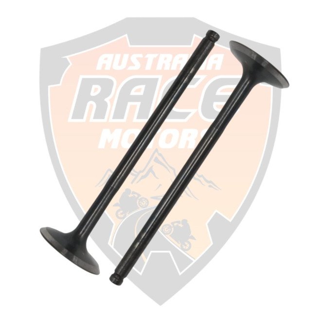 Intake Valve Duke RC
