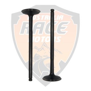 Intake Valve Duke RC