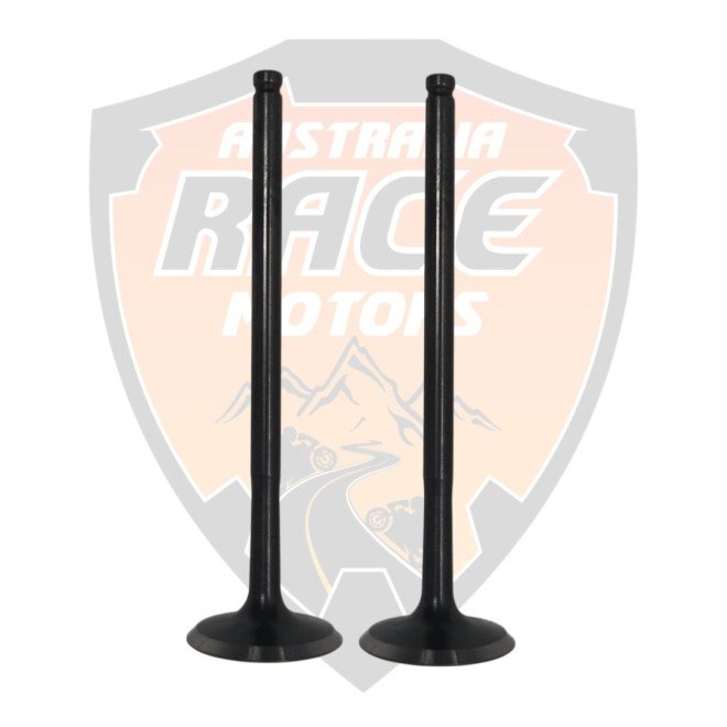 Intake Valve Duke RC