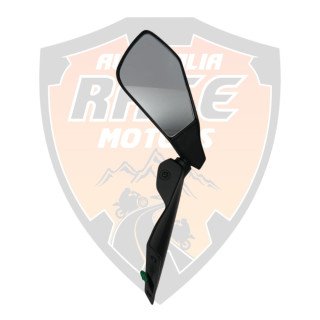 Mirror With Attached Blinker LH