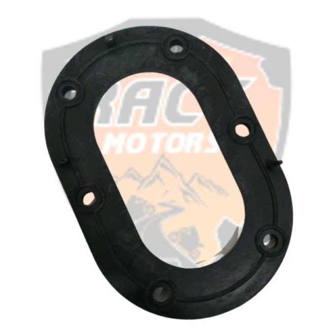 Gasket Fuel Pump