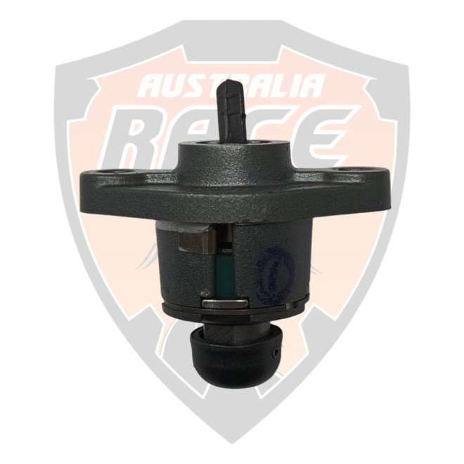 Chain Tensioner Assembly