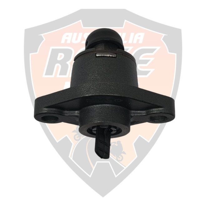 Chain Tensioner Assembly