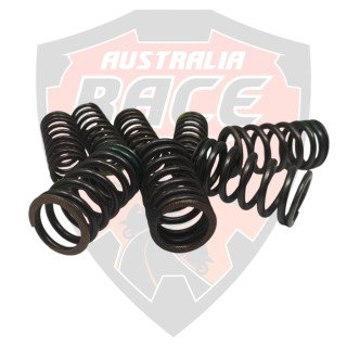 Kit Valve Spring