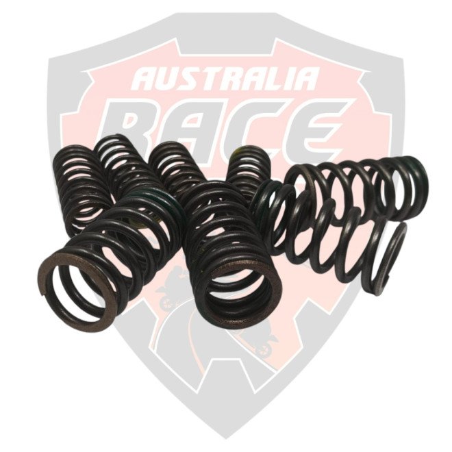Kit Valve Spring