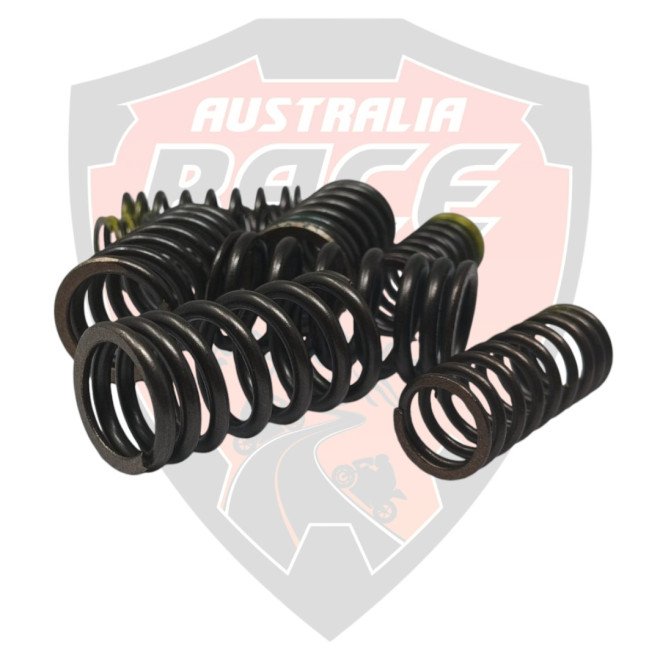 Kit Valve Spring