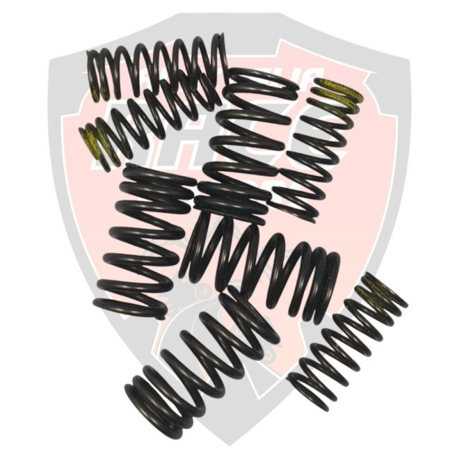 Kit Valve Spring