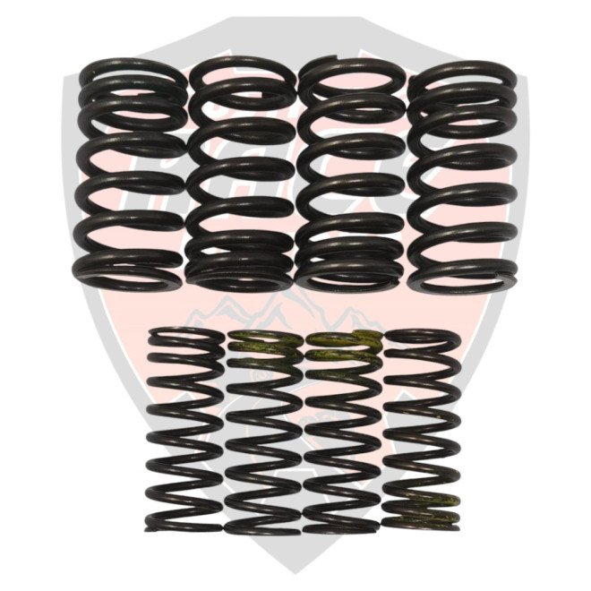 Kit Valve Spring