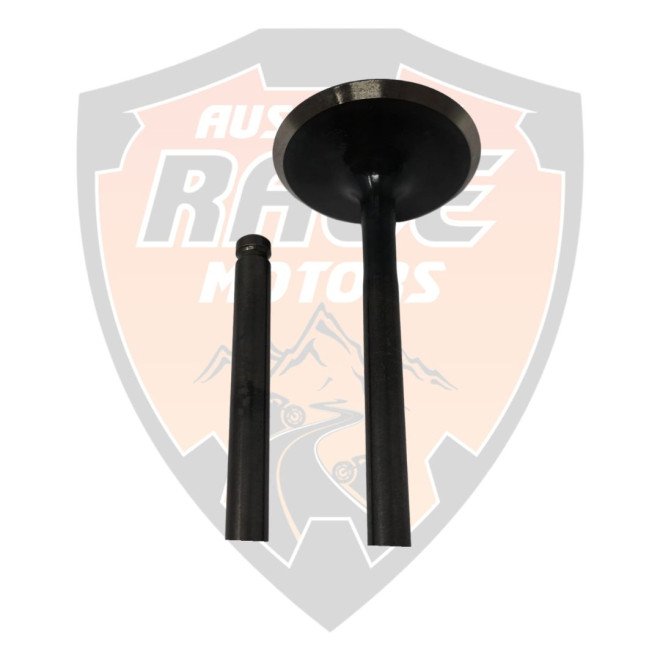 Valve Intake G2 Duke 200 y RC 200