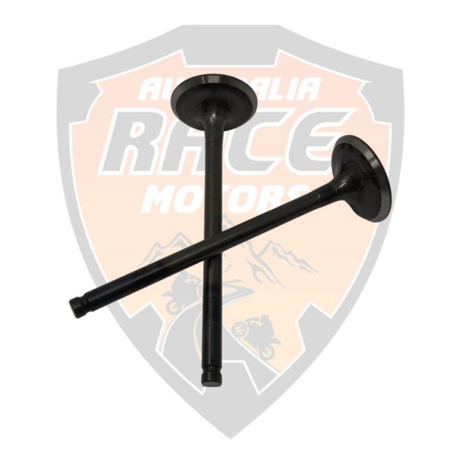 Exhaust Valve RC 200