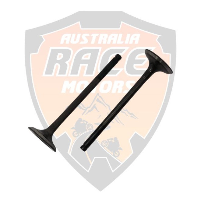 Exhaust Valve RC 200