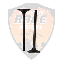 Exhaust Valve RC 200