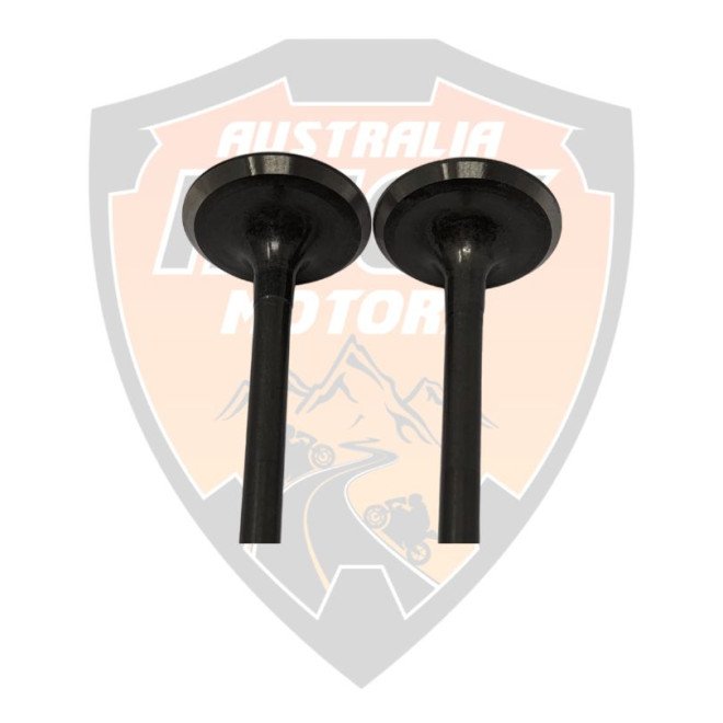 Exhaust Valve RC 200