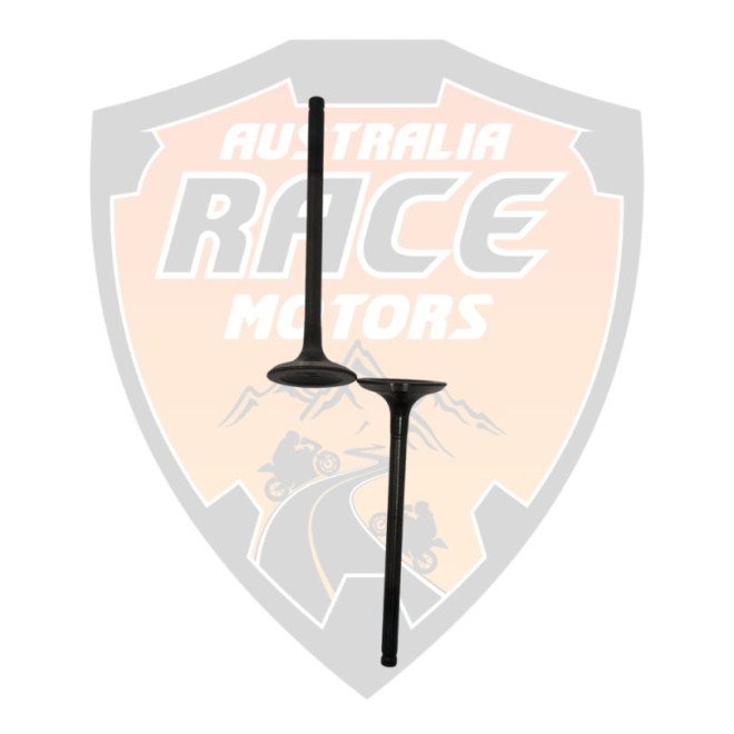 Exhaust Valve RC 200