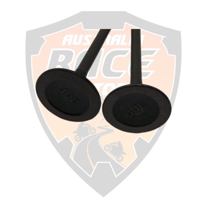 Exhaust Valve RC 200