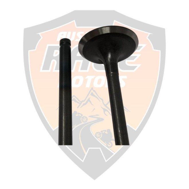 Exhaust Valve RC 200