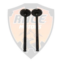 Exhaust Valve RC 200