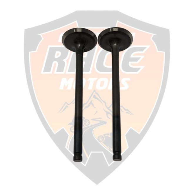 Exhaust Valve RC 200