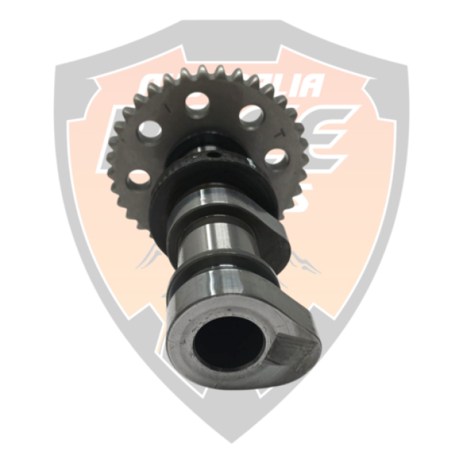 Camshaft Intake