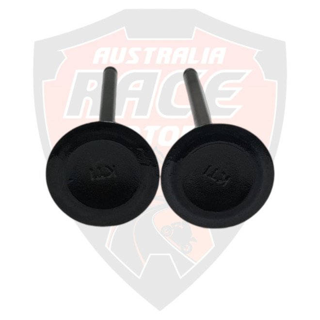 Intake Valves Duke 250 Adventure 250 y 390