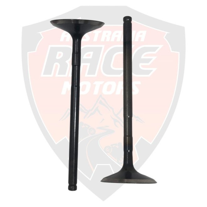 Intake Valves Duke 250 Adventure 250 y 390