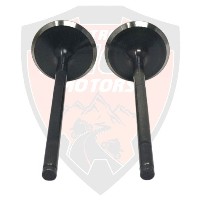 Intake Valves Duke 250 Adventure 250 y 390