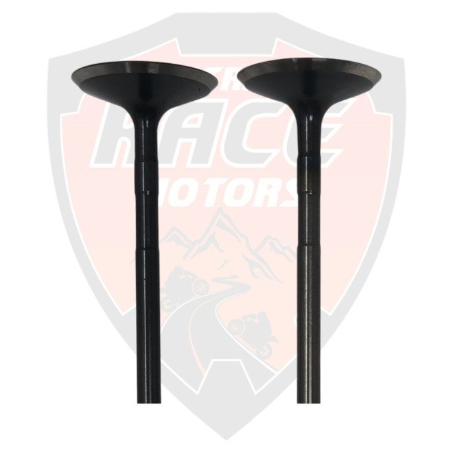 Intake Valves Duke 250 Adventure 250 y 390