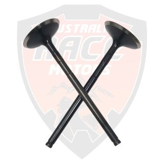 Intake Valves Duke 250 Adventure 250 y 390