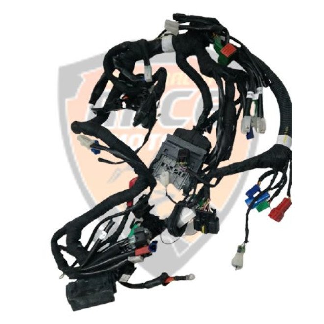 Wiring Harness For Non ABS Duke 250