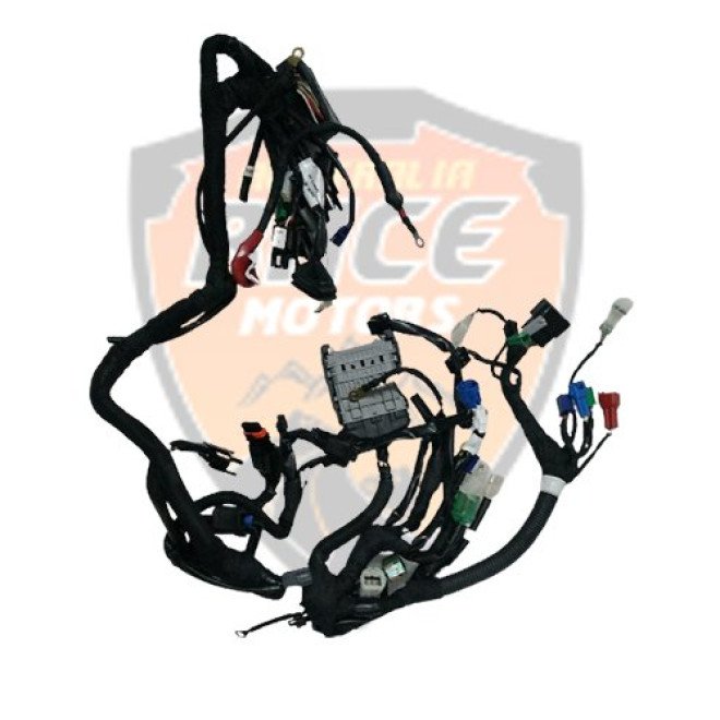 Wiring Harness For Non ABS Duke 250