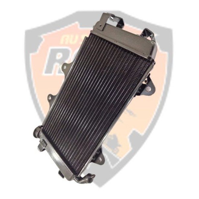 Radiator CPL Without Fan & Cap Duke 250 Duke 390
