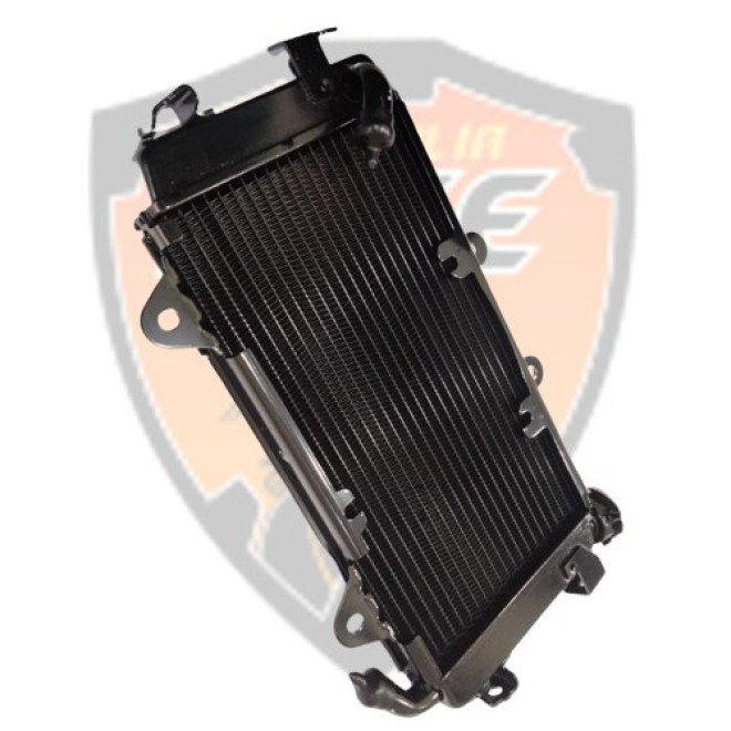 Radiator CPL Without Fan & Cap Duke 250 Duke 390