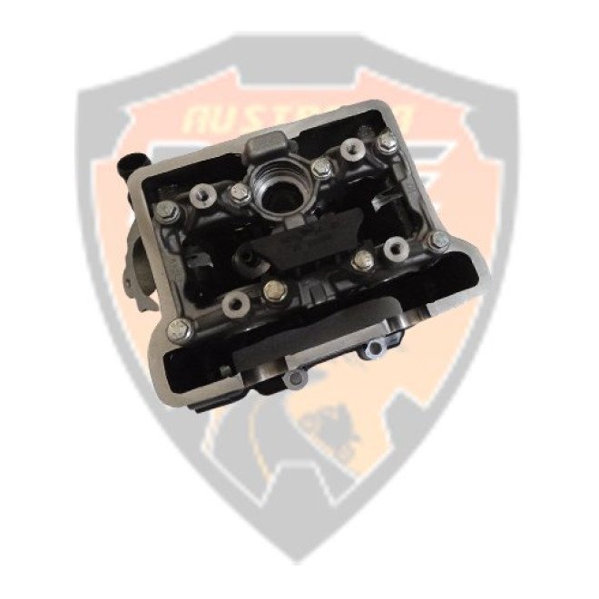 Cylinder Head With Cam Holder Duke 250