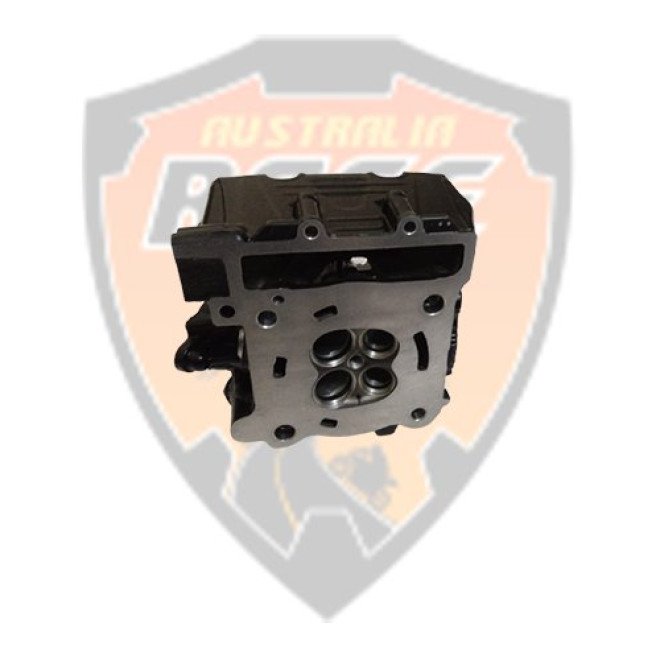 Cylinder Head With Cam Holder Duke 250